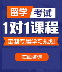 欧美老妇人一级搞必视频留学考试一对一精品课